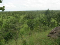Pendjari National Park Pendjari National Park
