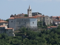Plomin