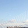 The Bridge Of Knowledge