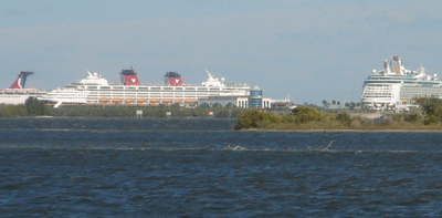 Port Canaveral