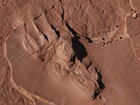 Prehistoric Trackways National Monument Prehistoric Trackways National Monument