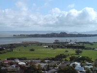Puketutu Island