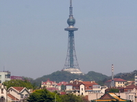 Qingdao Qingdao