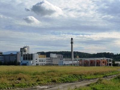 Nosovice