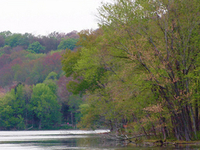 Radnor Lake State Natural Area Radnor Lake State Natural Area