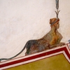 Raffael Sphinx