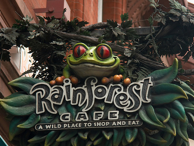 Rainforest Café Rainforest Café