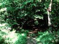 Rancocas State Park Rancocas State Park