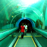 Rayong Aquarium