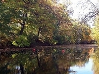 Red Cedar River