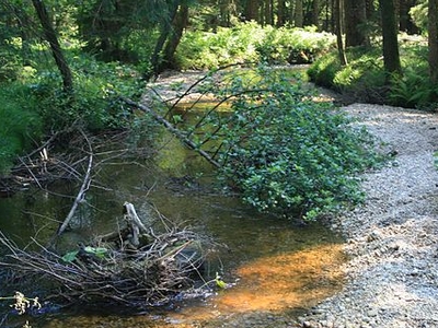 Redlbach