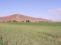Red Mountain Red Mountain