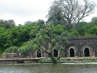 Rewa