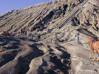 Explore Java - Ancient Temples and Inspiring Volcanoes 7 Days