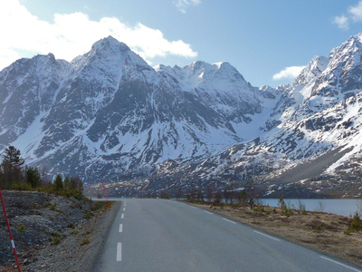Lyngen