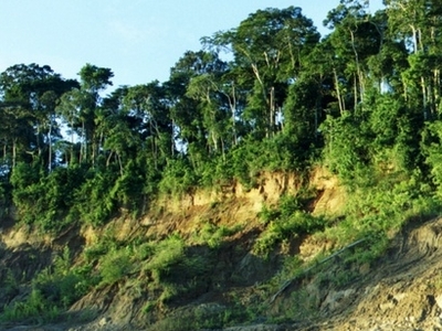 Manu National Park