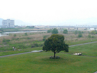 Yasu River Yasu River