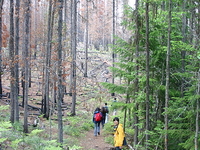 Rocky Point Trail Rocky Point Trail