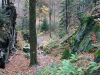 Route through gorge of Złoty Potok Route through gorge of Złoty Potok