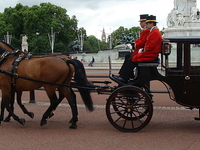 Royal Mews