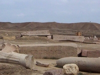 Tanis Tanis