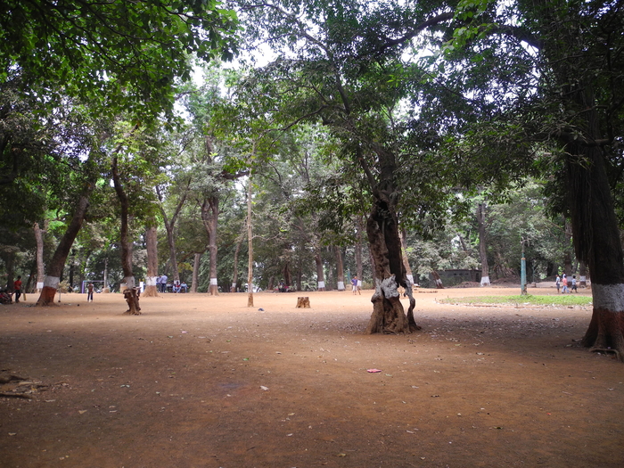 ryewood park