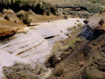 Rangipo Desert
