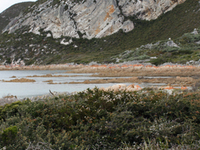 Rocky Cape National Park Rocky Cape National Park