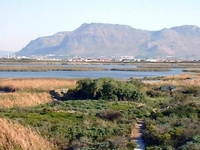 Rondevlei Nature Reserve Rondevlei Nature Reserve