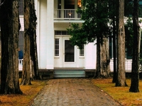 Rowan Oak Rowan Oak