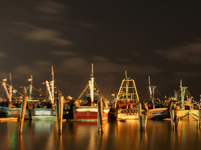 Royapuram fishing harbour, Chennai, India Tourist Information