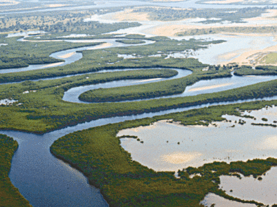 Saloum Delta