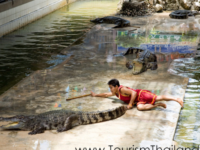 Samphran Elephant Ground & Zoo Samphran Elephant Ground & Zoo