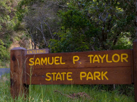Samuel P. Taylor State Park Samuel P. Taylor State Park