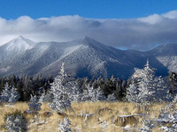 San Francisco Peaks San Francisco Peaks