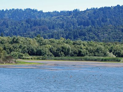 San Francisquito Creek