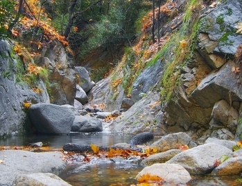 Santa Anita Creek