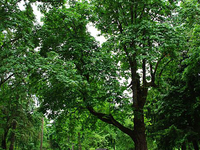 Sarah Helmick State Recreation Site