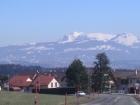 Savigny
