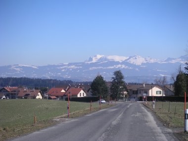 Savigny