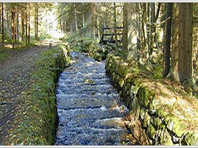 Schwarzenberg Logging Canal