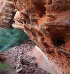 See Canyon Trail See Canyon Trail