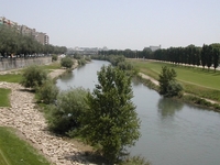 Segre
