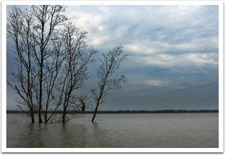 Sembilang National Park Sembilang National Park