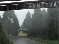 Senchal Wildlife Sanctuary Senchal Wildlife Sanctuary