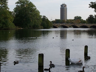 Serpentine Lake