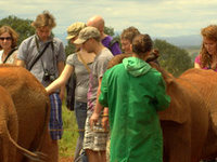Sheldrick Elephant Orphanage