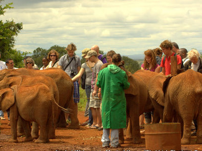 Sheldrick Elephant Orphanage Sheldrick Elephant Orphanage