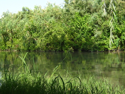 Shirvan State Reserve