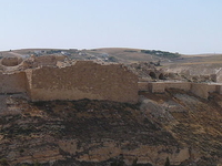 Showbak